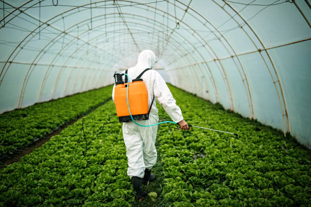 Best Pest Removal Services  in Wyoming, OH