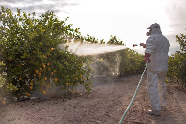 Reliable Wyoming, OH Pest Control Solutions