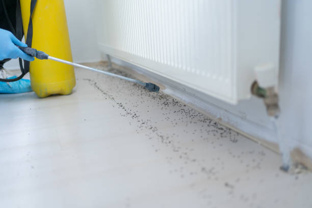 Best Local Pest Control Services  in Wyoming, OH